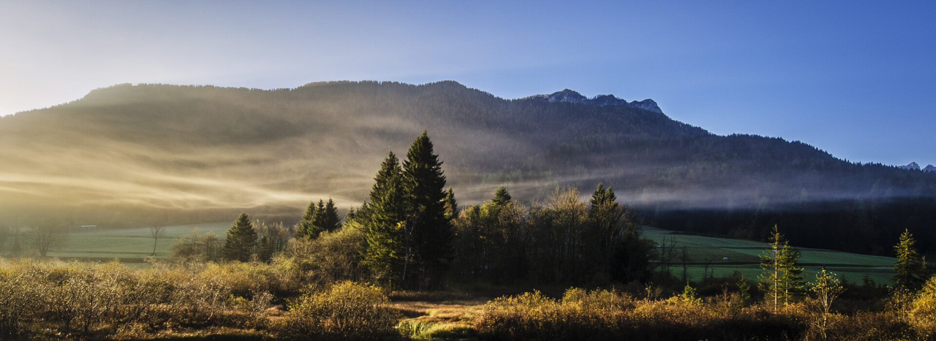 Justice and Technology: Innovations Improving Legal Access