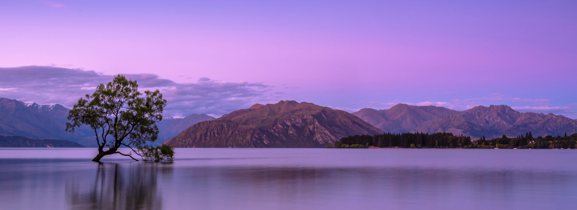 Voices for Change: Grassroots Movements Making an Impact